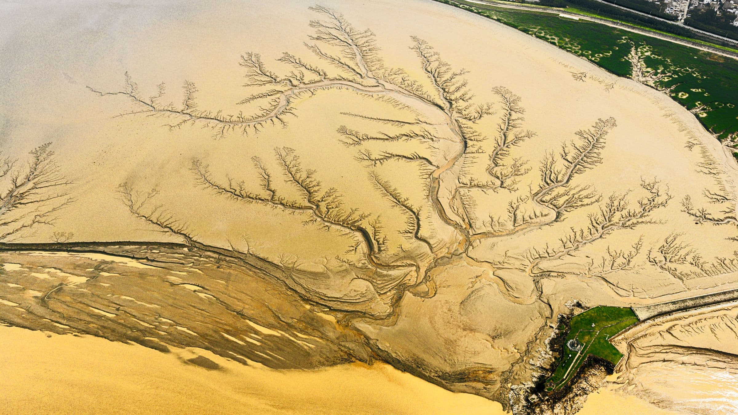 Delta de rio visto do alto, com canais que se ramificam pela areia