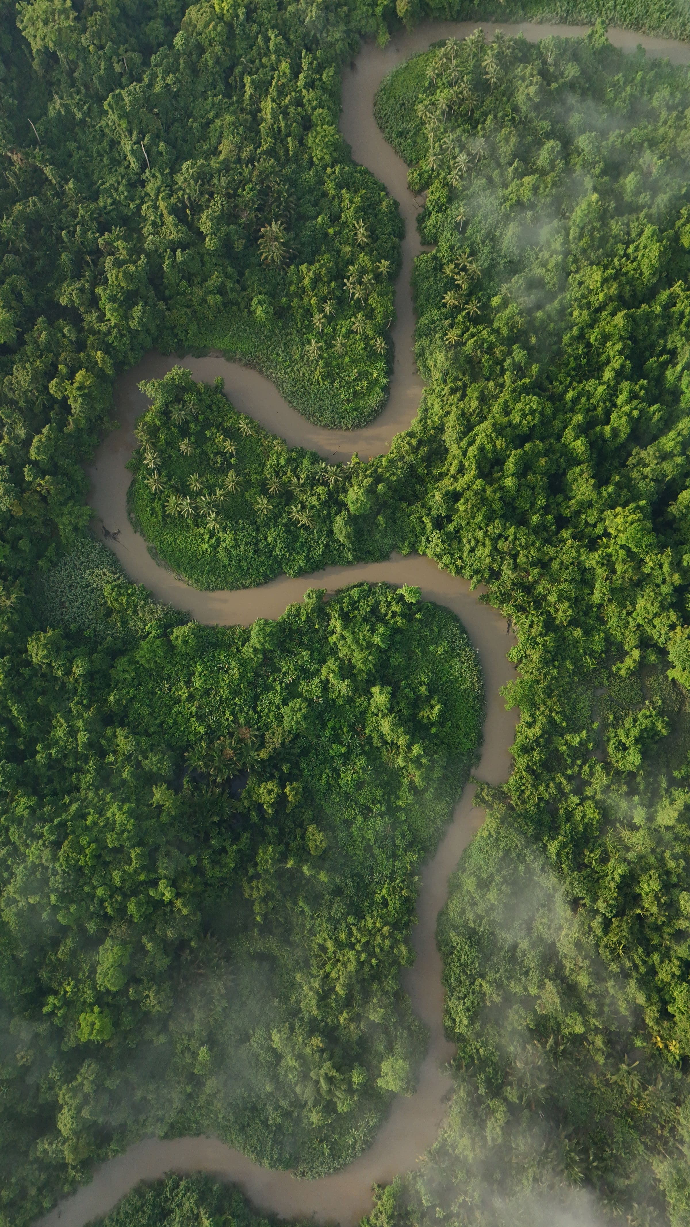 Rio em meandros cortando a mata